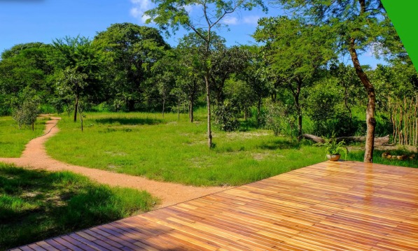 Timber decking and established landscaping from Jacana’s portfolio